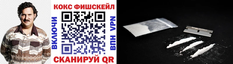 Cocaine FishScale  купить закладку  Кропоткин 
