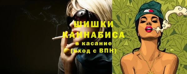 гашик Белокуриха