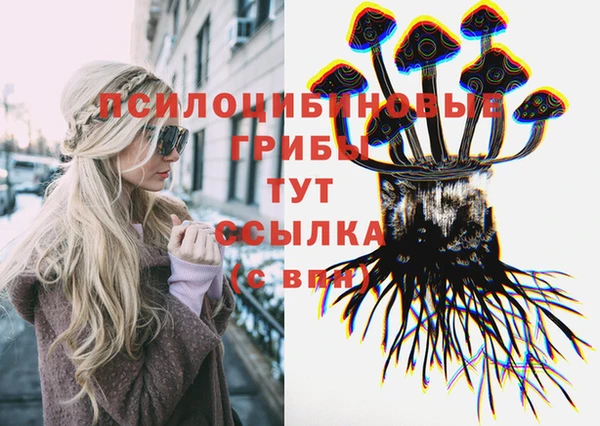 гашик Белокуриха
