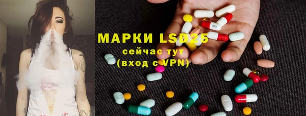 гашик Белокуриха