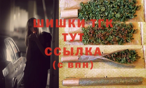 гашик Белокуриха
