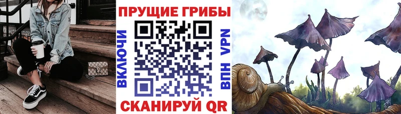 гидра вход  Кропоткин  сайты даркнета телеграм  Галлюциногенные грибы ЛСД 